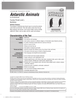 Antarctic Animals - Houghton Mifflin Harcourt