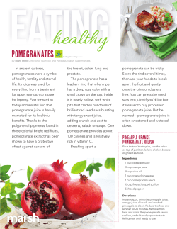 Pineapple Orange Pomegranate Relish