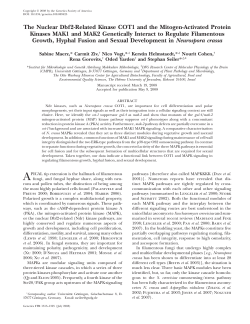 The Nuclear Dbf2-Related Kinase COT1 and the Mitogen