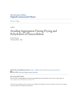 Avoiding Aggregation During Drying and Rehydration of