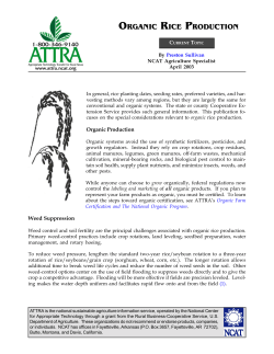 Organic Rice Production - ATTRA - National Center for Appropriate
