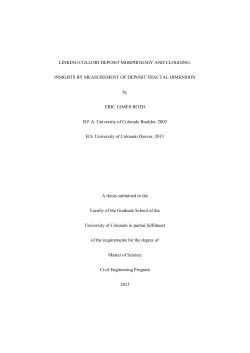 LINKING COLLOID DEPOSIT MORPHOLOGY AND CLOGGING