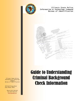Guide to Understanding Criminal Background Check Information