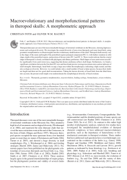 Macroevolutionary and morphofunctional patterns in theropod skulls