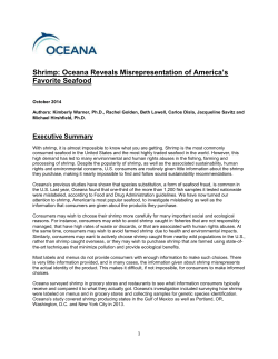 Shrimp: Oceana Reveals Misrepresentation of America`s Favorite