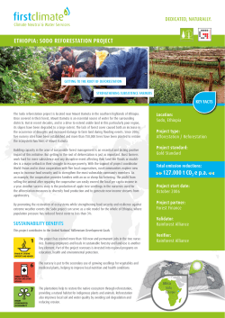 ETHIOPIA: SODO REFORESTATION PROJECT