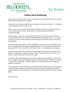 Tip Sheets - Bloomin Garden Centre