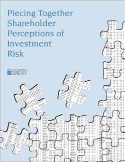 Piecing Together Shareholder Perceptions of Investment Risk