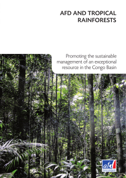AFD AND TROPICAL RAINFORESTS