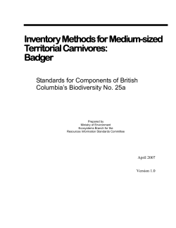 Inventory Methods for Medium-sized Territorial Carnivores: Badger