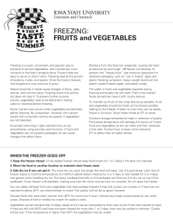 FREEZING: FRUITS and VEGETABLES