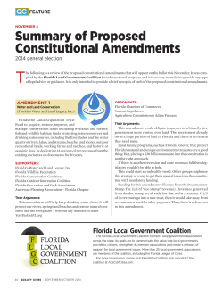 Summary of Proposed Constitutional Amendments