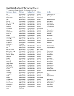 Bug Classification Information Sheet
