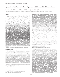 Apoptosis in Rat Placenta Is Zone