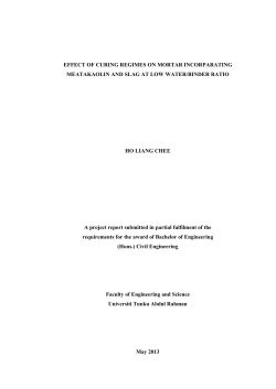 FES Final Year Project Template