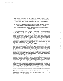 A LARGER NUMBER OF L CHAINS (Tac) ENHANCE THE