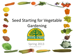 Seed Starting for Vegetable Gardening