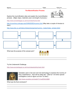 Mummification Process File