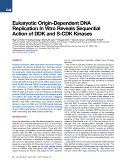 Eukaryotic origin-dependent DNA replication in vitro reveals