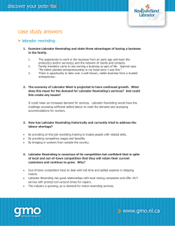 Case Study Answers - Department of Education