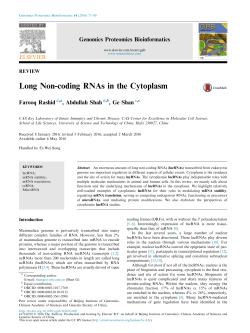 Long Non-coding RNAs in the Cytoplasm