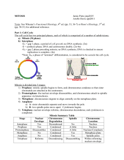 MITOSIS Jamie Pinto jmp2035 Arielle Davis apd2011 Texts: See