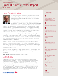 Small Business Owner Report