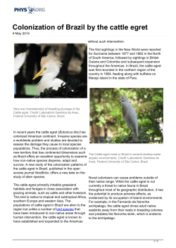 Colonization of Brazil by the cattle egret