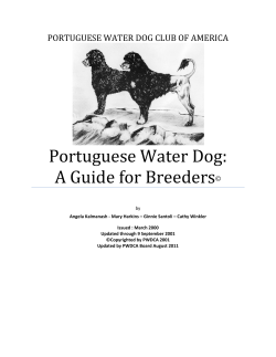 Portuguese Water Dog: A Guide for Breeders
