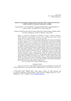 MOLECULAR CHARACTERIZATION OF POTATO VIRUS Y