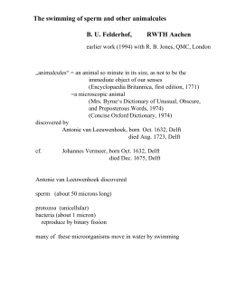 The swimming of sperm and other animalcules B. U. Felderhof