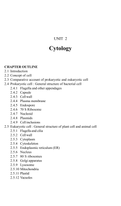 Sample Chapter