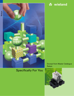 Ice Cube Relay Datasheet - Wieland Electric Canada