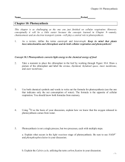 Chapter 10: Photosynthesis