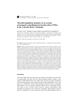 Microbial population dynamics in an extreme environment