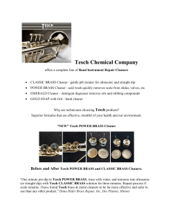 "New" Tesch POWER BRASS Cleaner