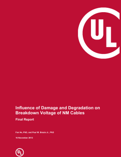 Influence of Damage and Degradation on Breakdown Voltage of NM