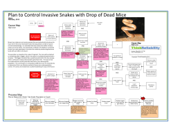 Plan to Control Invasive Snakes with Drop of Dead