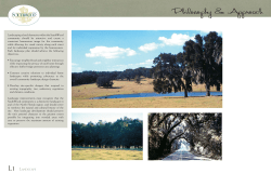 Landscape - SouthWood
