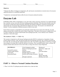 Enzyme Lab