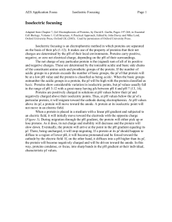 Isoelectric focusing