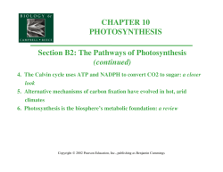 CHAPTER 10 PHOTOSYNTHESIS Section B2: The Pathways of