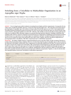 Switching from a Unicellular to Multicellular Organization in an
