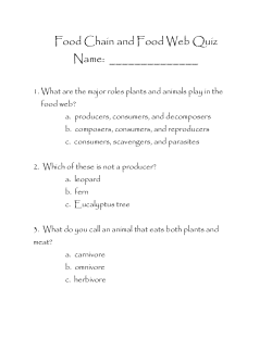 Food Chain Web Quiz