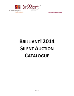 SA1: Two Italian Designer Scarves