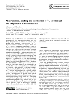 Mineralisation, leaching and stabilisation of 13C