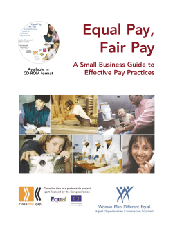Equal Pay, Fair Pay: A small business guide to