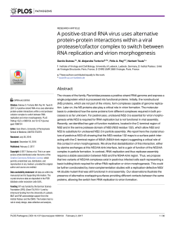 A positive-strand RNA virus uses alternative protein
