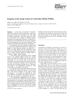 Properties of the escape system of cockroaches during walking