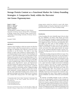 Storage Protein Content as a Functional Marker for Colony